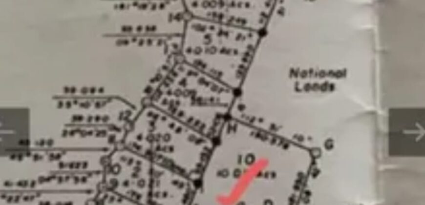 🌴 FOR SALE – 10 Acres on Ambergris Caye 🌊