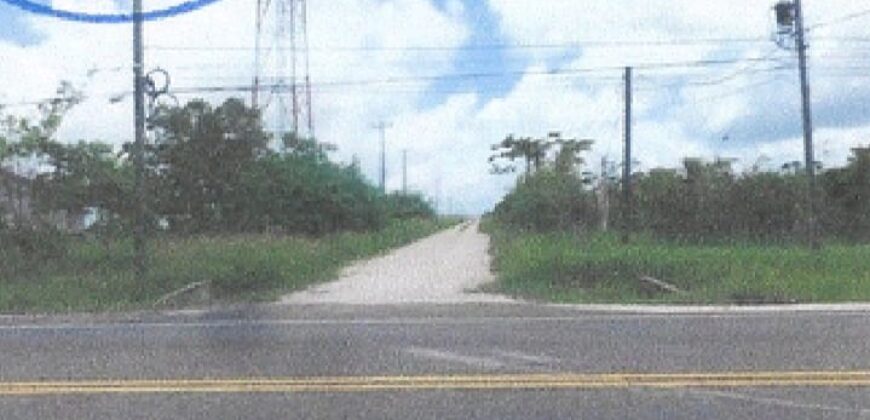 FOR SALE – 10 ACRES – FRANK’S EDDY AGRICULTURAL LAYOUT, CAYO DISTRICT