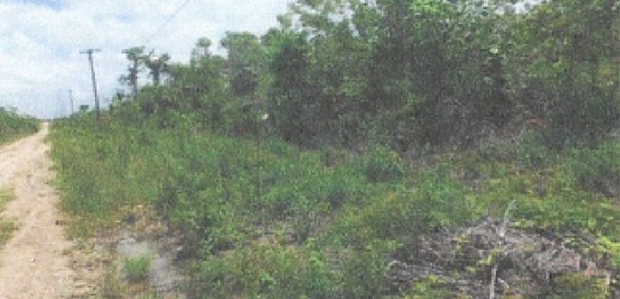 FOR SALE – 10 ACRES – FRANK’S EDDY AGRICULTURAL LAYOUT, CAYO DISTRICT