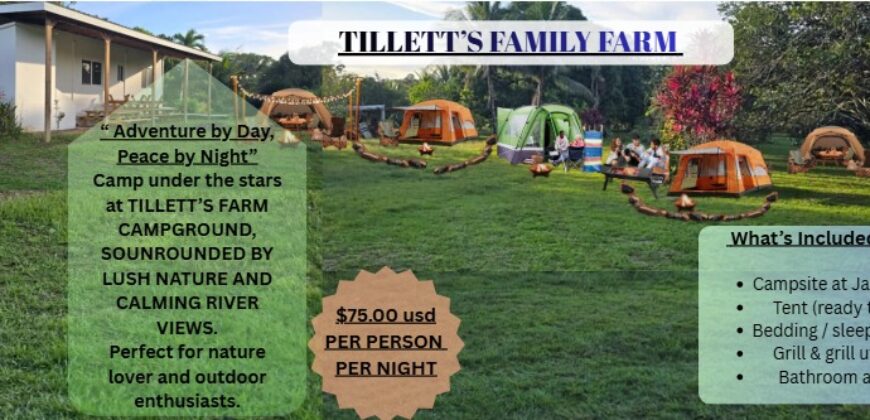 Tillett’s Family Farm Adventures