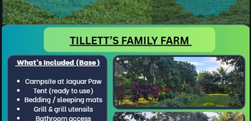 Tillett’s Family Farm Adventures