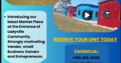 Commercial Unit (FOR RENT)