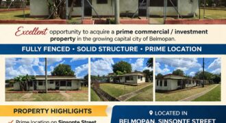 PRIME COMMERCIAL PROPERTY ( FOR SALE )