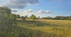 NEW LISTING (SUBDIVISION DEVELOPMENT)