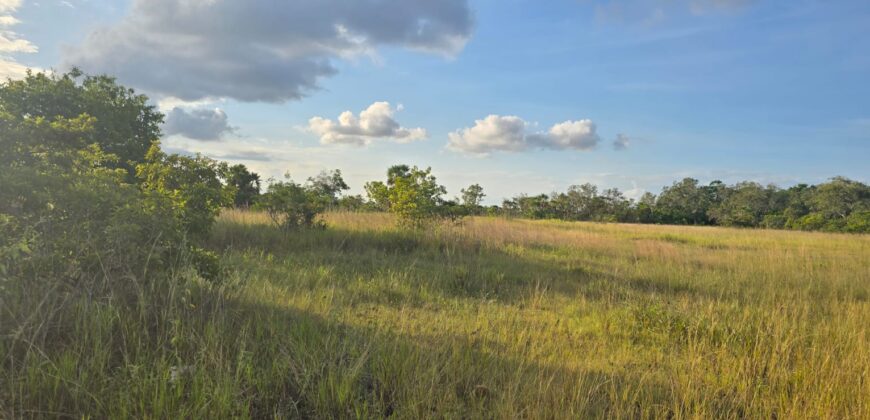 NEW LISTING (SUBDIVISION DEVELOPMENT)