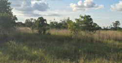 NEW LISTING (SUBDIVISION DEVELOPMENT)