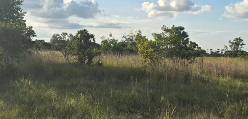 NEW LISTING (SUBDIVISION DEVELOPMENT)