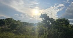 NEW LISTING (SUBDIVISION DEVELOPMENT)