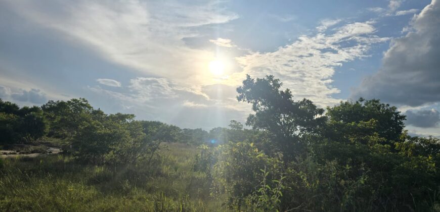 NEW LISTING (SUBDIVISION DEVELOPMENT)