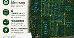 NEW LISTING (SUBDIVISION DEVELOPMENT)