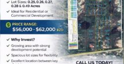 NEW LISTING (SUBDIVISION DEVELOPMENT)