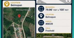 1 DOUBLE LOT/1 Lot (*FOR SALE*)( IN CONTRACT)