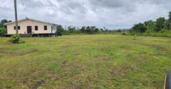 Land & House (FOR SALE)