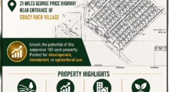 NEW LISTING FOR SALE (SUBDIVISION DEVELOPMENT)2
