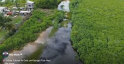 Prime 3 Acres (FOR SALE) on George Price Hwy