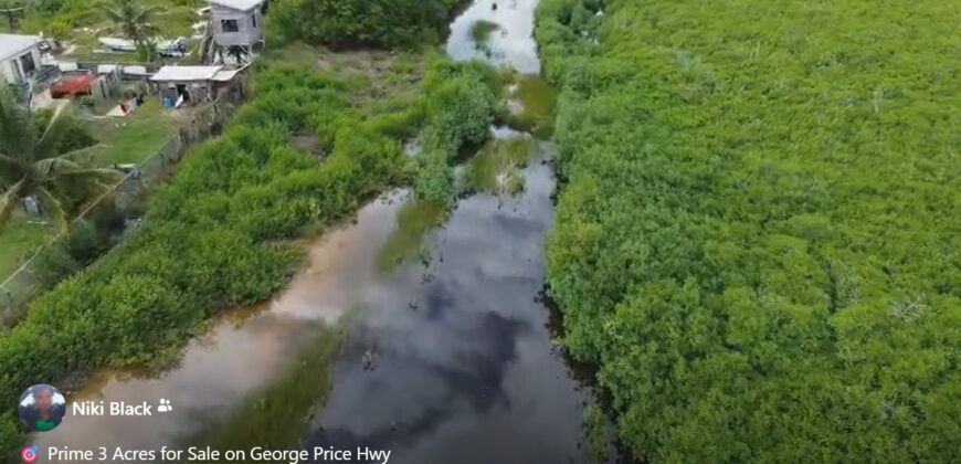 Prime 3 Acres (FOR SALE) on George Price Hwy