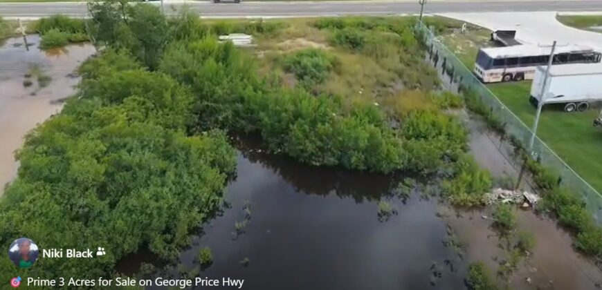 Prime 3 Acres (FOR SALE) on George Price Hwy