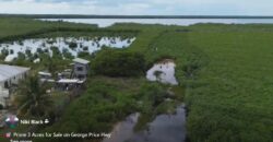 Prime 3 Acres (FOR SALE) on George Price Hwy