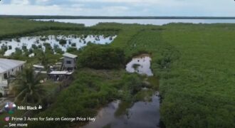 Prime 3 Acres (FOR SALE) on George Price Hwy
