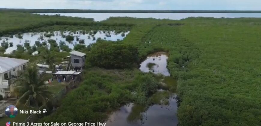 Prime 3 Acres (FOR SALE) on George Price Hwy