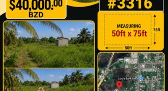 Land For Sale (Ladyville) Lords Bank(Hollywood)
