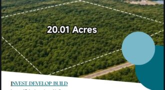 20.01 ACRES (SARTENEJA VILLAGE)