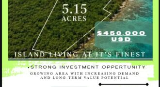 5.15 ACRES OF COLUMBUS CAYE (FOR SALE)