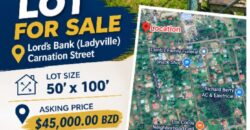 LOT FOR SALE (LORD’S BANK, LADYVILLE)