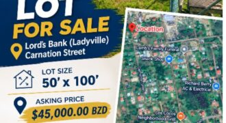LOT FOR SALE (LORD’S BANK, LADYVILLE)